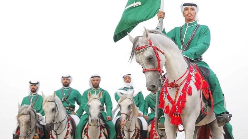 نقل الخيل - كل ما تحتاج معرفته لنقل الخيول في المملكة العربية السعودية