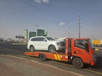 سطحة شرورة الوديعة